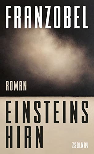 Einsteins Hirn: Roman